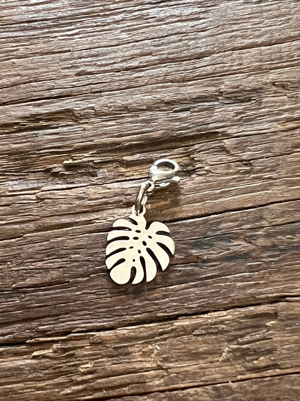 Interchangeable Charms