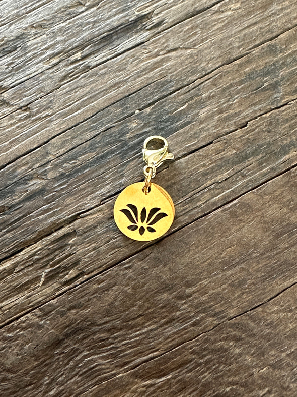 Interchangeable Charms