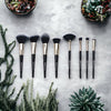 Berck Beauty - Makeup Brushes (Sold Individually)