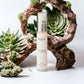 BB "It's a Blur" 3 in 1 Concealer/Foundation/Skincare Butter with Tea Tree Oil*