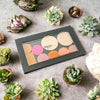 Make it Your Own! Magnetic Palette Face Pans (Magnetic Palette Sold Separately)