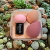 Berck Beauty - Flawless Beauty Luxury Beauty Sponges Pastel Sets