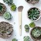 BB Luxury Makeup Brushes Sold Separately