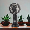 Berck Beauty Hand Held Vanity Fan with Stand