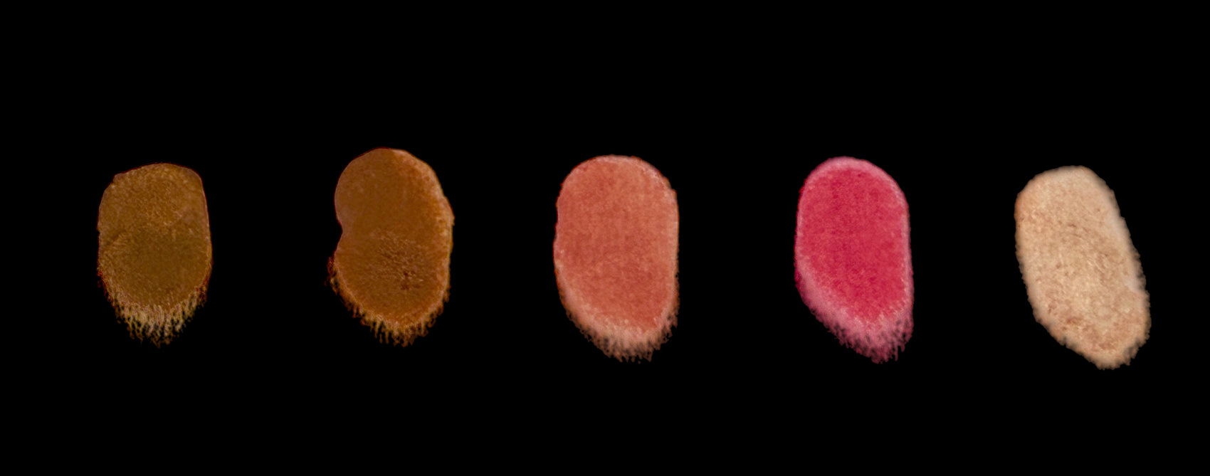BB Let's Go! 5 Pan Creme Travel Palette For Face
